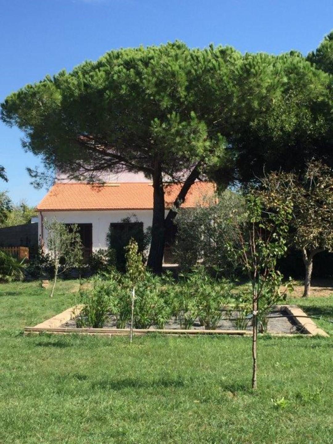 Garden scene 7